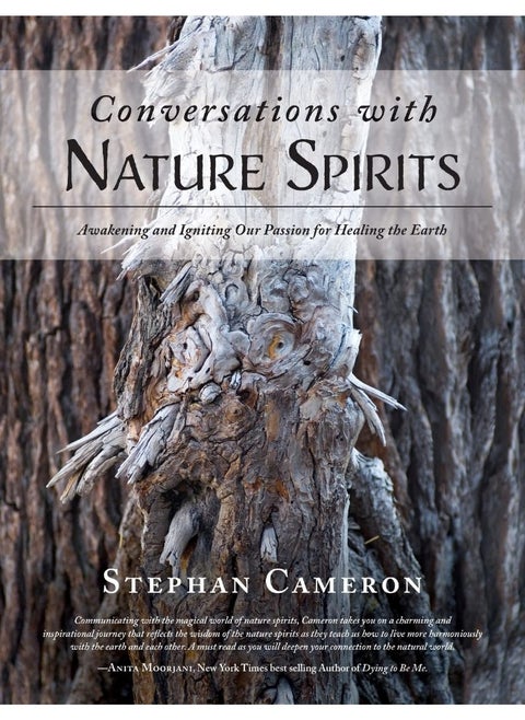 Conversations with Nature Spirits: Awakening and Igniting Our Passion for Healing the Earth