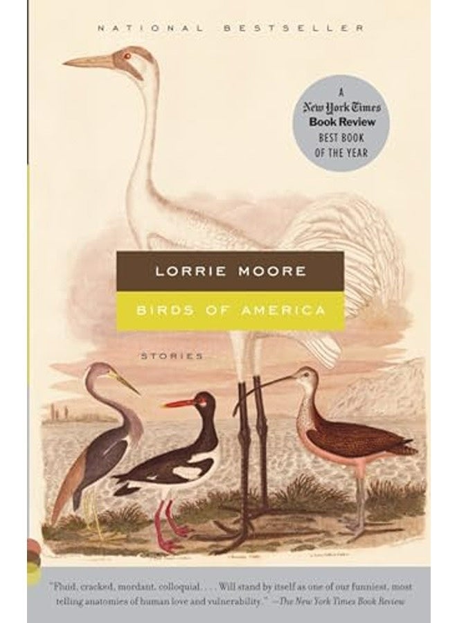 Birds of America: Stories