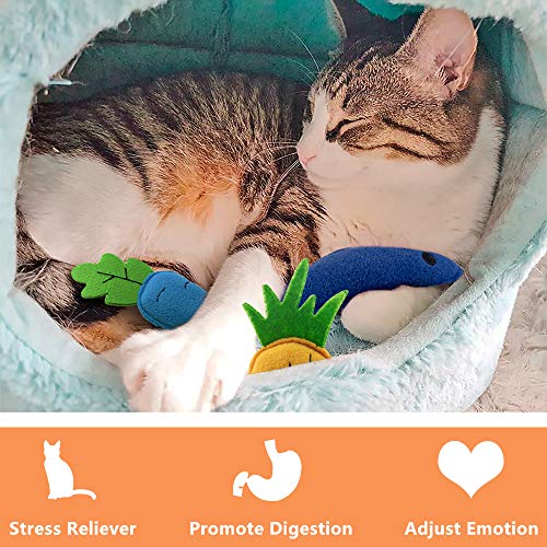 AWOOF Catnip Toys for Indoor Cats, 6 Pack Cat Chew Toys Plush Interactive Cat Kicker Toy for Indoor Kitten Exercise for All Breeds - Image 4