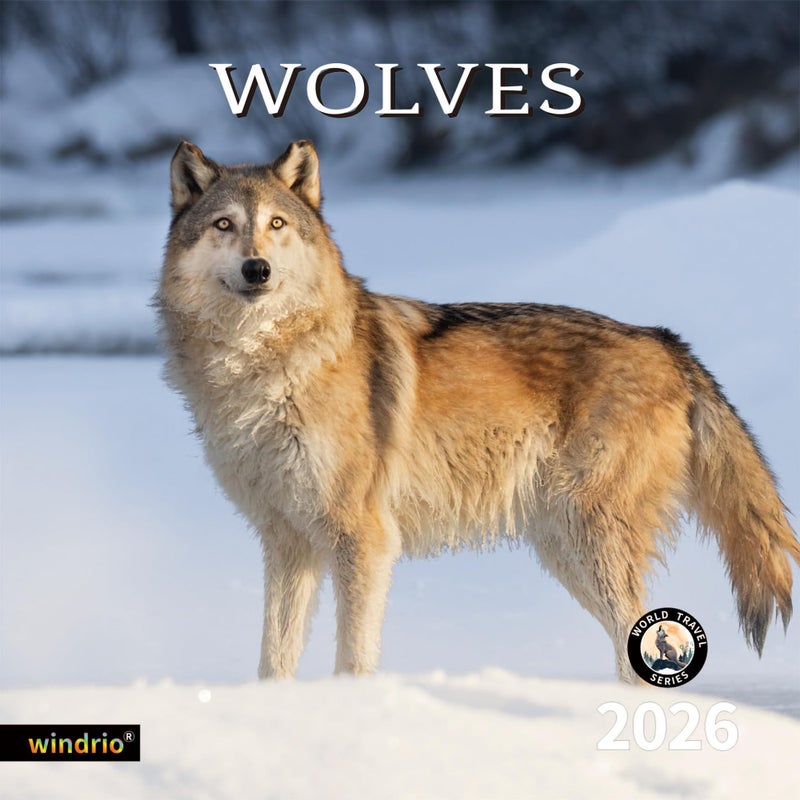 windrio 2026 Wall Calendar,Calendar 2026, November 2025 - December 2026, Wall Calendar Wolves, 12" x 24" Opened,Full Page Months Thick & Sturdy Paper for Organizing & Planning - Image 1