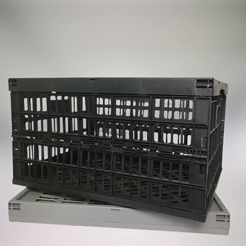 Big Apple Bigapple Portable Folding Basket Collapsible Durable Polypropylene Foldable Crate for Stacking, Storage and Organizing (50X38X26 cm, 25 kg Capacity, Black Color) - Pack of 2 (2) - Image 5