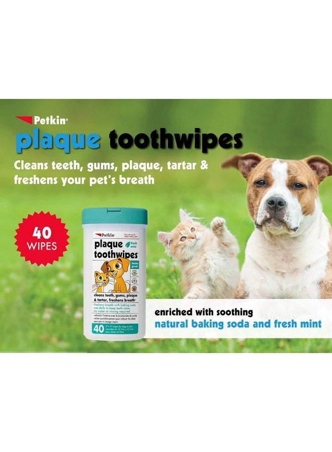 بيتكين مناديل تنظيف الأسنان للقطط والكلاب من Petkin، 80 منديل (بنكهة النعناع المنعش) - تركيبة طبيعية تنظف الأسنان واللثة وتنعش النفس - للاستخدام اليومي - عناية مريحة بأسنان الكلاب - عبوتان من 40 منديل (إجمالي 80 منديل) - Image 2