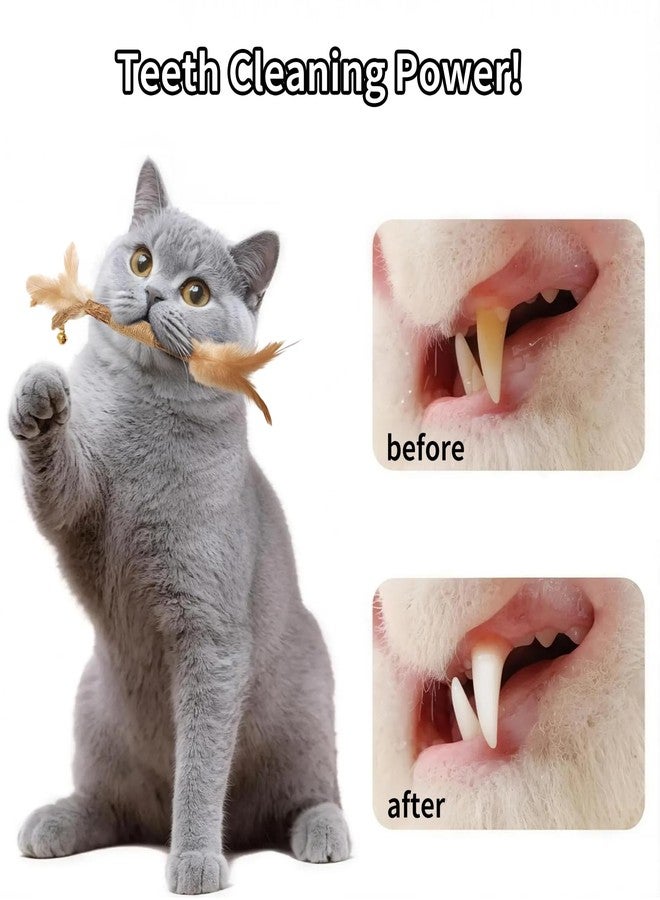 Walfront Cat Toys Interactive,Cats Chew Toys Sticks 2PCS Realistic Tree Stump Toys + 4PCS Pure Natural Log Sticks with Feathers and Bell Natural,Safe Dental Teething Toy for Indoor Cats - Image 5