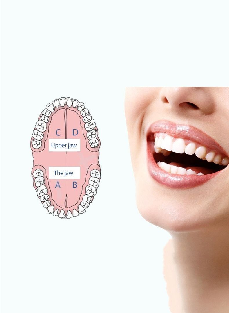 Smart Sonic Toothbrush Electric toothbrush - Image 4