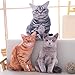 Maomoto 196 Cat Shape Throw Pillow Plushie Doll 3D Simulation Plush Stuffed Animal Toy for Kids Sofa Chair Home Decor Grey - Image 3