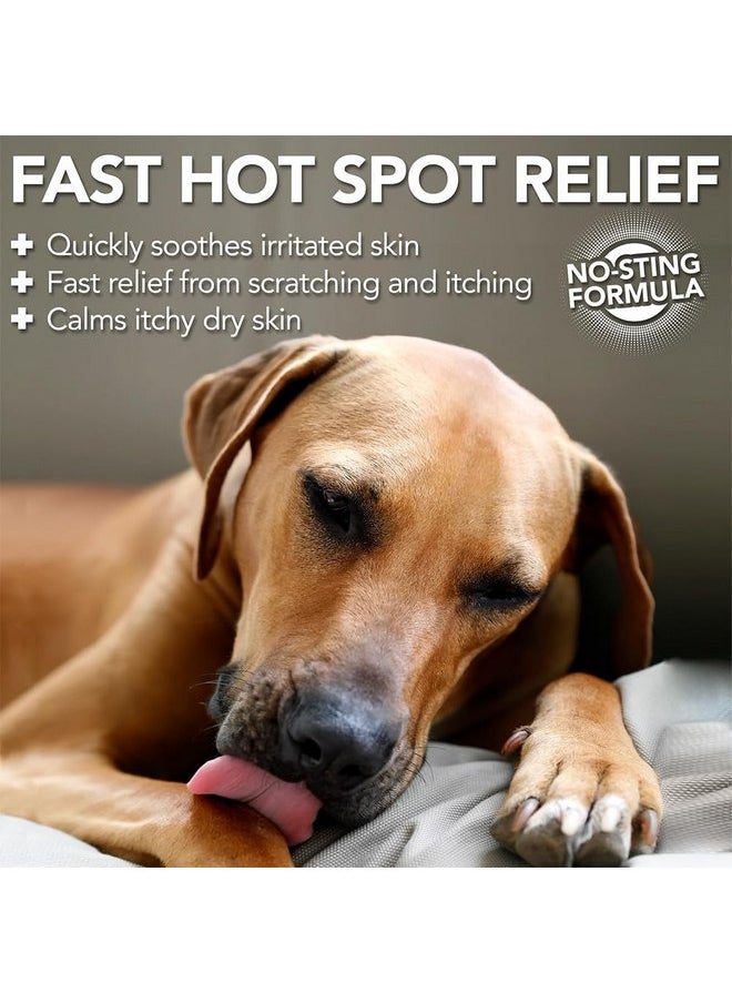 Vet's Best Vet’s Best Dog Hot Spot Itch Relief Spray | Relieves Dry Skin, Rash, Scratching, Licking, Itchy Skin, and Hot Spots | No-Sting and Alcohol Free | 16 Ounces  - Image 2
