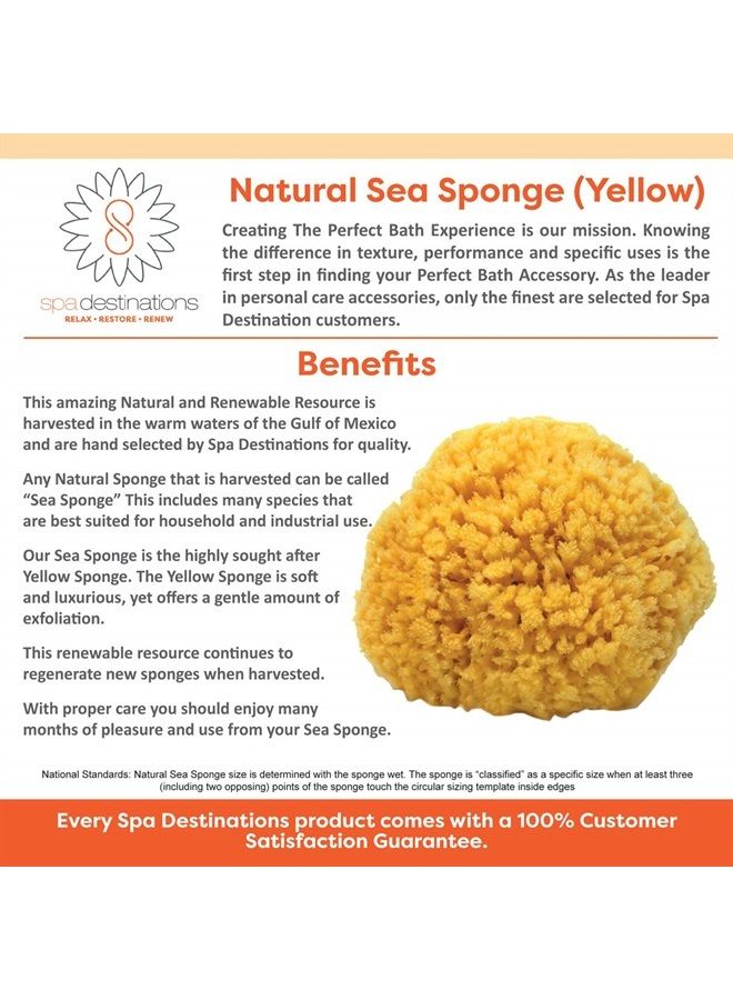 spa destinations Natural Sea Sponge 6-7" by Spa Destinations "Creating The At-Home Spa Experience"
