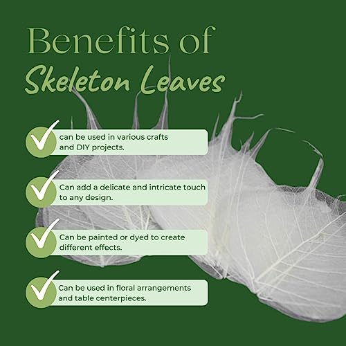 Gachwala Natural Skeleton Leaves ( 150 pcs ), Leaf Skeleton, Dry Leaf Veins for Craft DÉCOR/Card Making/Invitations/Gift Tags DIY Craft Tools (White) - Image 5
