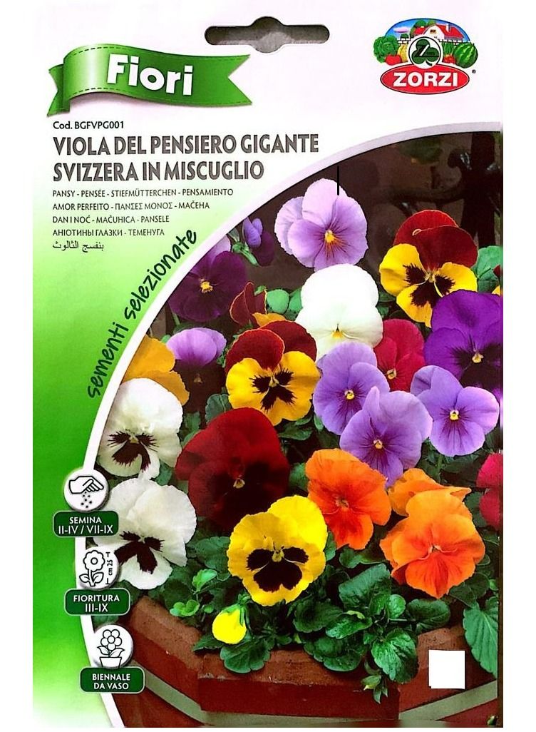 ZORZI Viola Del PENSIERO Seeds