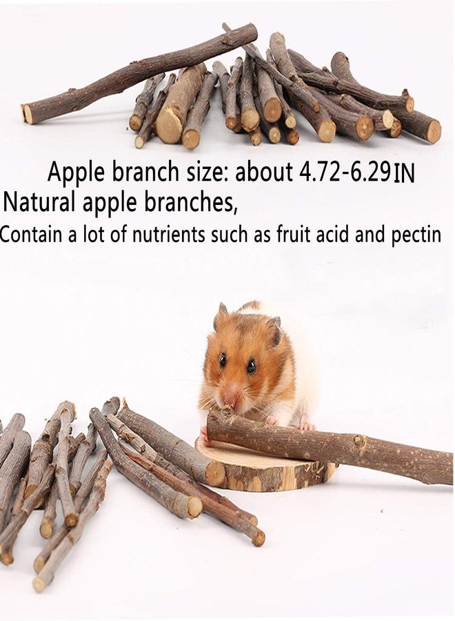 QHZHANG Hamster Chew Toys，24PCS Combined Chew Toys Molar Sticks Sweet Bamboo Apple Branch Molar Toy for Rabbits Pets Chinchilla Squirrel Gerbil Hamster Squirrel Guinea - Image 3