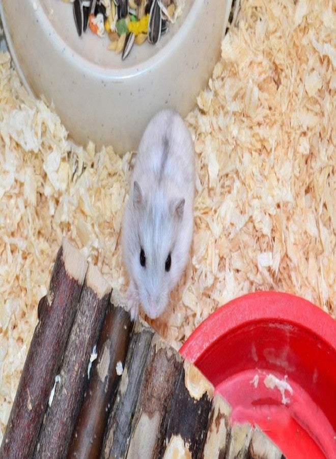 QHZHANG Hamster Chew Toys，24PCS Combined Chew Toys Molar Sticks Sweet Bamboo Apple Branch Molar Toy for Rabbits Pets Chinchilla Squirrel Gerbil Hamster Squirrel Guinea - Image 5