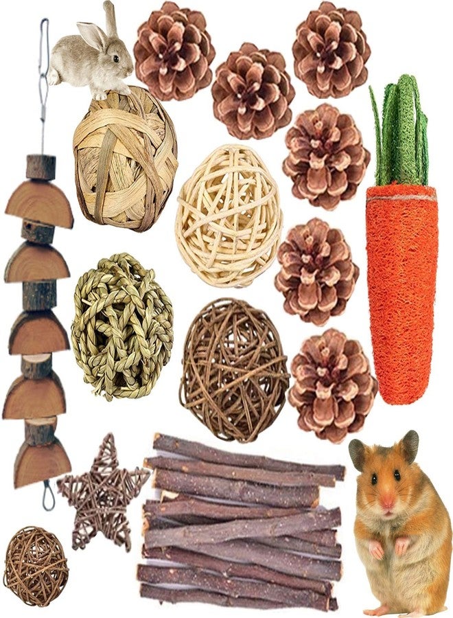 QHZHANG Hamster Chew Toys，24PCS Combined Chew Toys Molar Sticks Sweet Bamboo Apple Branch Molar Toy for Rabbits Pets Chinchilla Squirrel Gerbil Hamster Squirrel Guinea - Image 1