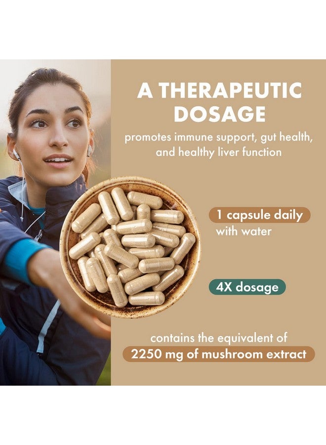 PURE ESSENCE LABS Organic Turkey Tail 4X Mushroom Extract, Vegan Mushrooms Supplement for Immune Building, 60 Capsules - Image 4