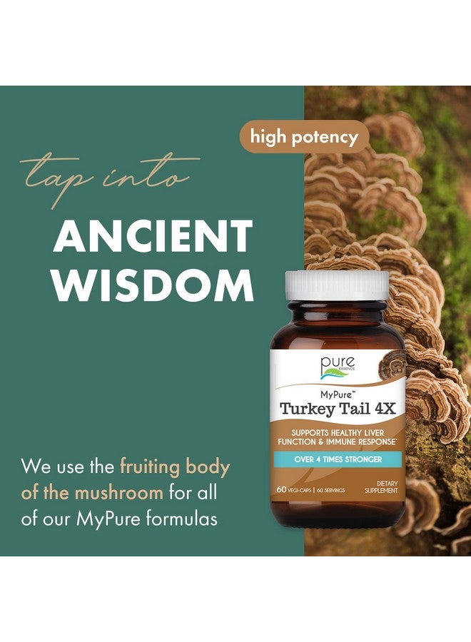 PURE ESSENCE LABS Organic Turkey Tail 4X Mushroom Extract, Vegan Mushrooms Supplement for Immune Building, 60 Capsules - Image 2