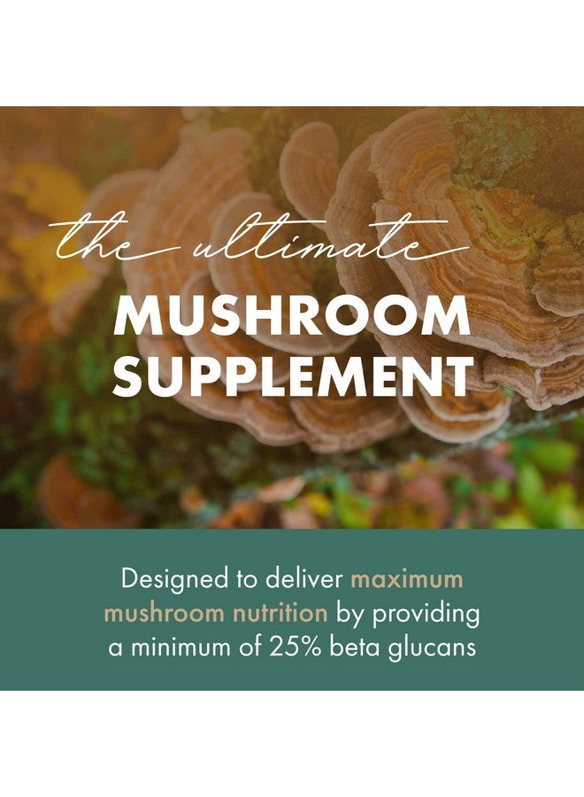 PURE ESSENCE LABS Organic Turkey Tail 4X Mushroom Extract, Vegan Mushrooms Supplement for Immune Building, 60 Capsules - Image 3