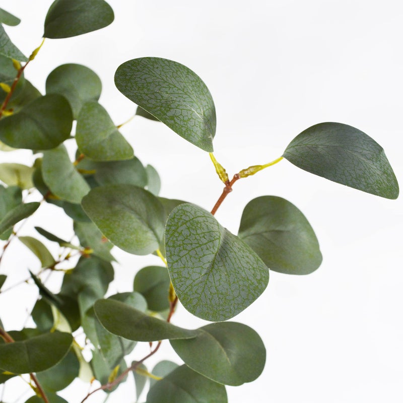 Warmplants Artificial Eucalyptus Tree, 6ft Tall Fake Eucalyptus Plant with Basket, Green Silver Dollars Silk Leaves Faux Tree for Home Office Livingroom Floor Decor Indoor - Image 3