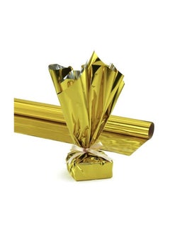 Party Time 2-Rolls Gold Shiny Mylar Gift Wrap Roll, Modern Birthday Gift Wrapping- Great for Gift Bags, Gift Box, Baskets etc. 70cm x 200cm - pzsku/Z60BC21CBA14F38A14E68Z/45/_/1706967625/03409abf-df0d-4b5a-a81f-fc073b4069bc