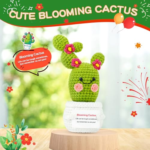 PinCute Positive Cactus Plant Get Well Gifts for Women Men Friends Sister :Crochet Blooming Cactus Gifts for Easter Mother's Day Birthday, Cute Funny Dolls with Encouragement Cards Office Home Decor - Image 2