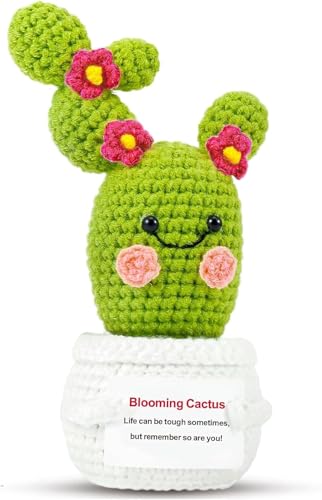 PinCute Positive Cactus Plant Get Well Gifts for Women Men Friends Sister :Crochet Blooming Cactus Gifts for Easter Mother's Day Birthday, Cute Funny Dolls with Encouragement Cards Office Home Decor - Image 1