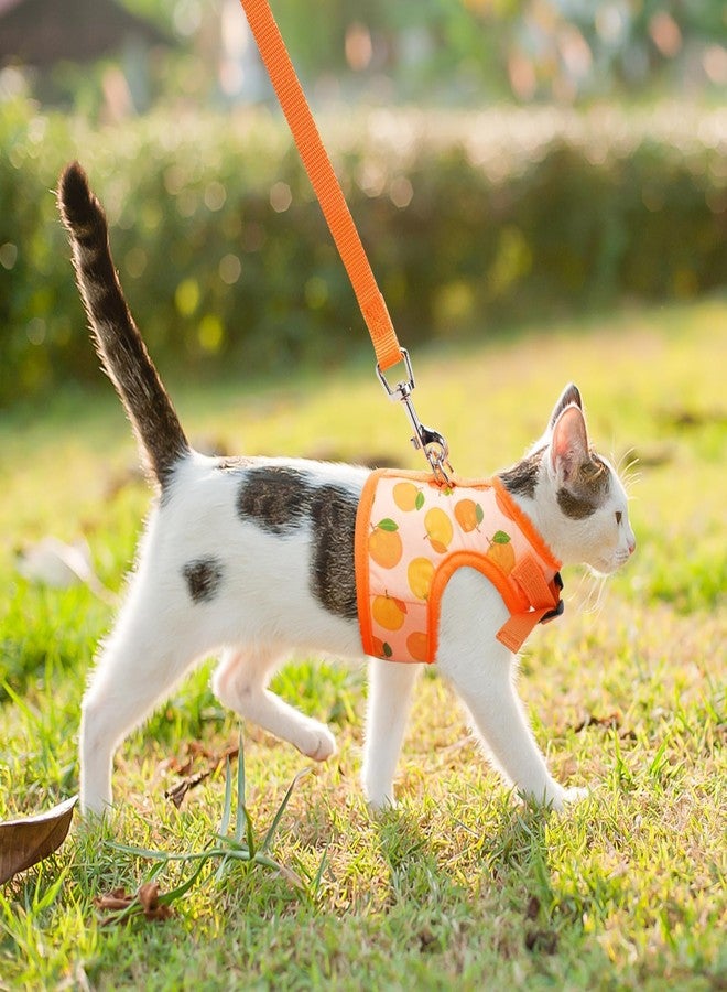 BINGPET Cat Harness with Leash Escape Proof - Fashionable Mesh Cat Dog Walking Harness Leads, Adjustable for Kitties Puppies Small Animals, Large - Image 5