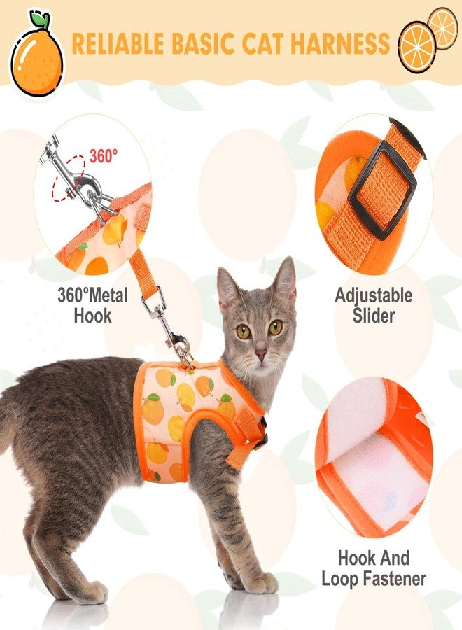BINGPET Cat Harness with Leash Escape Proof - Fashionable Mesh Cat Dog Walking Harness Leads, Adjustable for Kitties Puppies Small Animals, Large - Image 4