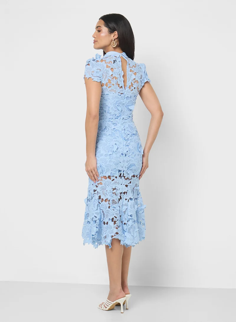ايلا ليمتد اديشن Lace Shift dress