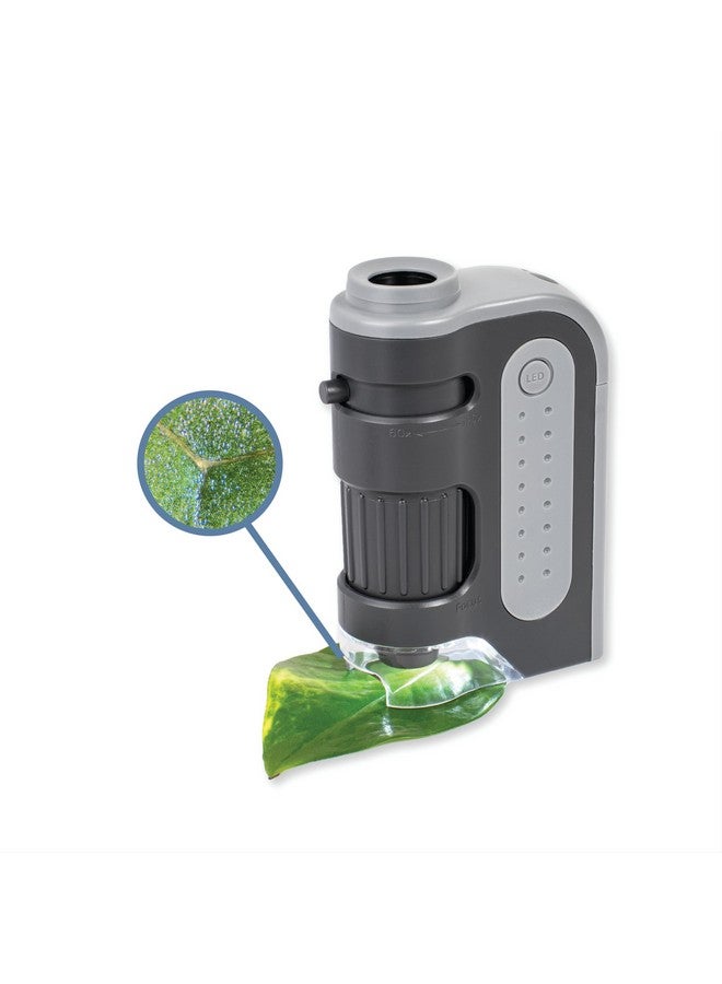 Carson MicroBrite Plus 60x-120x LED Lighted Pocket Microscope, Portable Handheld Microscope STEM Toy, Mini Microscope for Student Science Lab, Educational Portable Microscope (MM-300) - Image 1