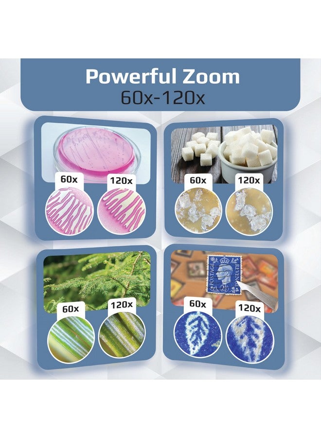 Carson MicroBrite Plus 60x-120x LED Lighted Pocket Microscope, Portable Handheld Microscope STEM Toy, Mini Microscope for Student Science Lab, Educational Portable Microscope (MM-300) - Image 5