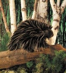 Folkmanis Porcupine Hand Puppet - Image 2