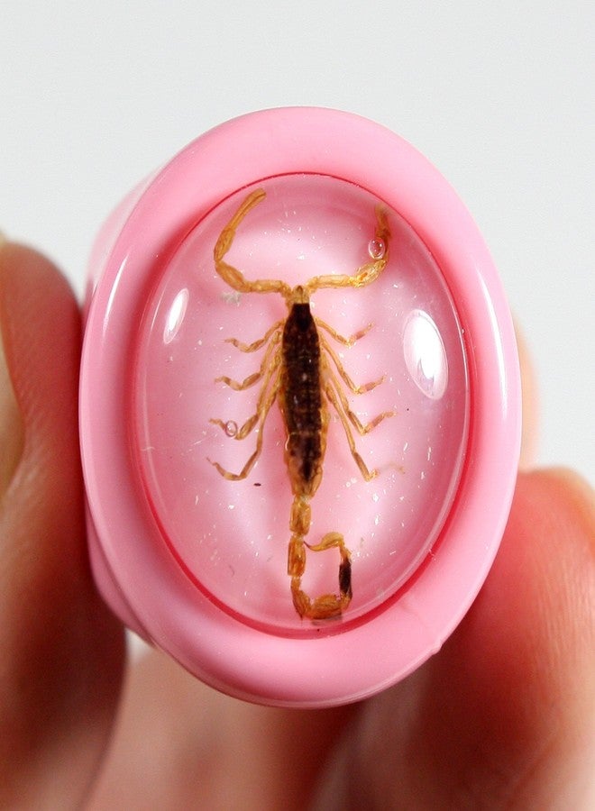 REALBUG Golden Scorpion Pink Ring Size 6 - Image 2