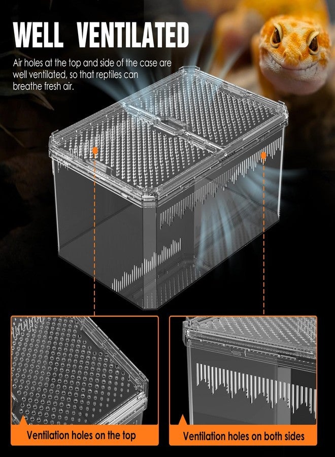 NOMOY 【No Assembly】 Breathable and Secure Reptile Tank with high Transparency - Ideal Container House for Hermit Crab, Tarantula Enclosure, Turtle Tank or Jumping Spider Habitat (M) - Image 5