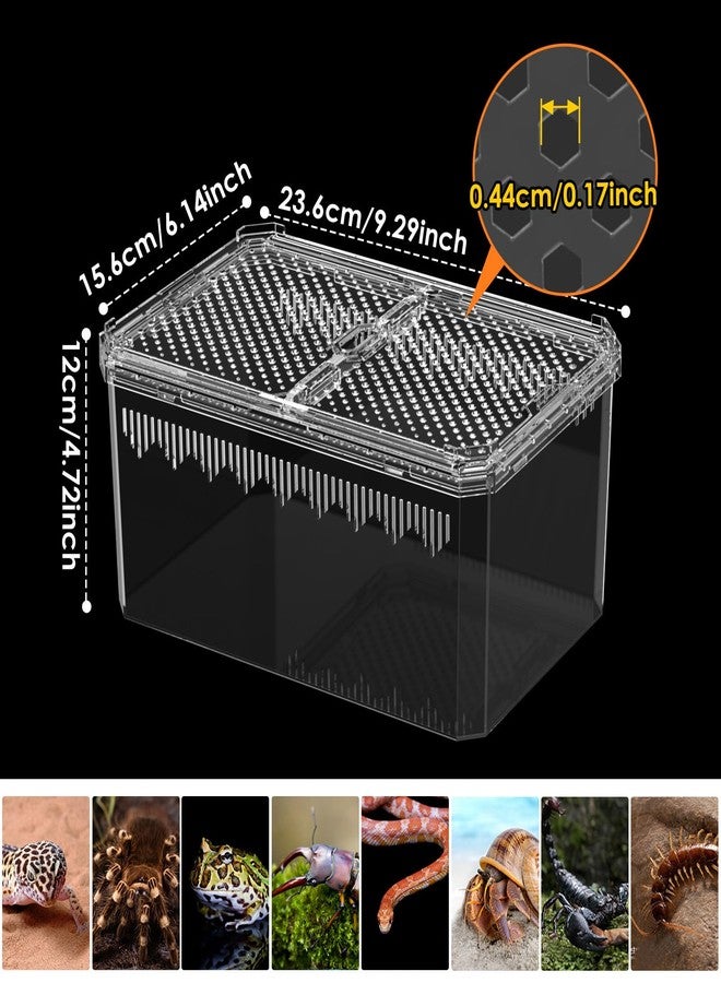 NOMOY 【No Assembly】 Breathable and Secure Reptile Tank with high Transparency - Ideal Container House for Hermit Crab, Tarantula Enclosure, Turtle Tank or Jumping Spider Habitat (M) - Image 3
