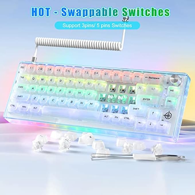 rayihni MK31 60% WIRED HOT SWAPPABLE MECHANICAL KEYBOARD WITH TRANSPARENT KEYCAPS, COMPACT 66 KEYS CHROMA RGB BACKLIT ERGONOMIC CUSTOM GAMING KEYBOARD KNOB CONTROL FOR PC/MAC - Image 2