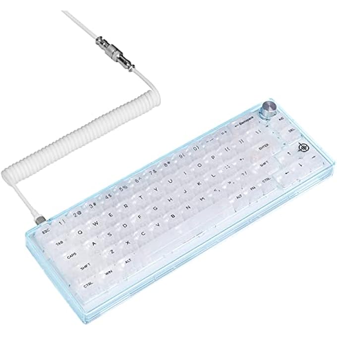 rayihni MK31 60% WIRED HOT SWAPPABLE MECHANICAL KEYBOARD WITH TRANSPARENT KEYCAPS, COMPACT 66 KEYS CHROMA RGB BACKLIT ERGONOMIC CUSTOM GAMING KEYBOARD KNOB CONTROL FOR PC/MAC - Image 1