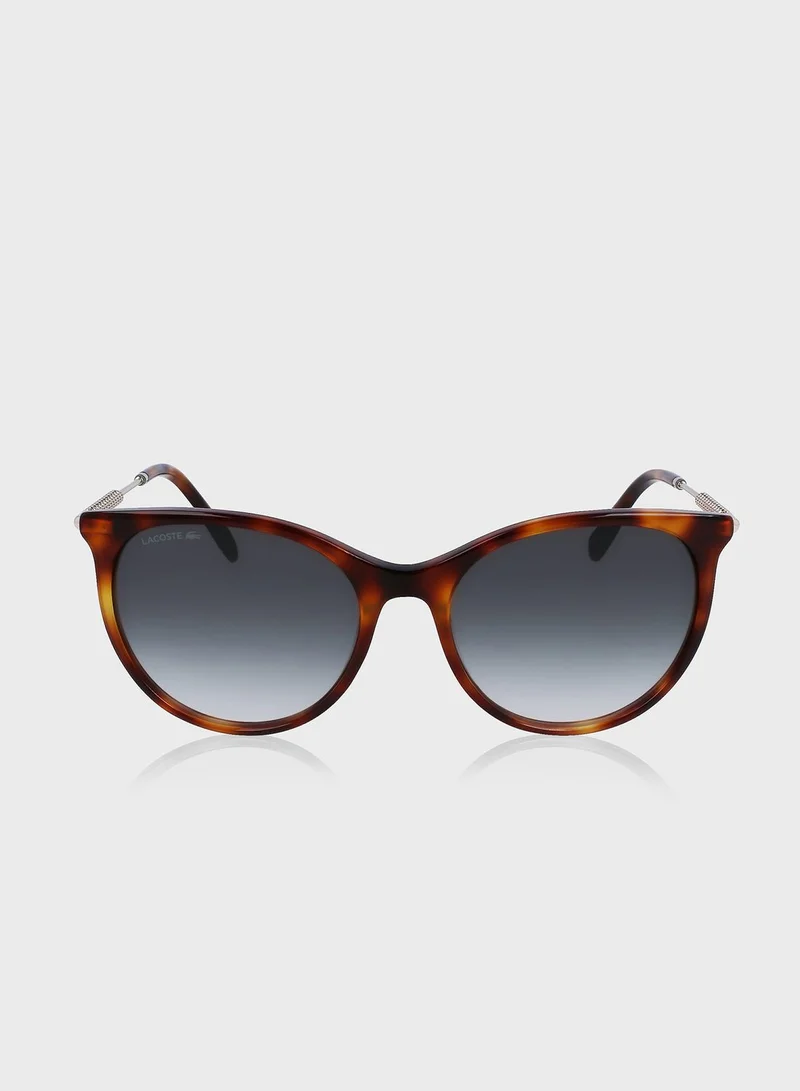LACOSTE Oval Shape Sunglasses