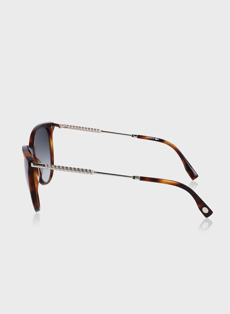 LACOSTE Oval Shape Sunglasses