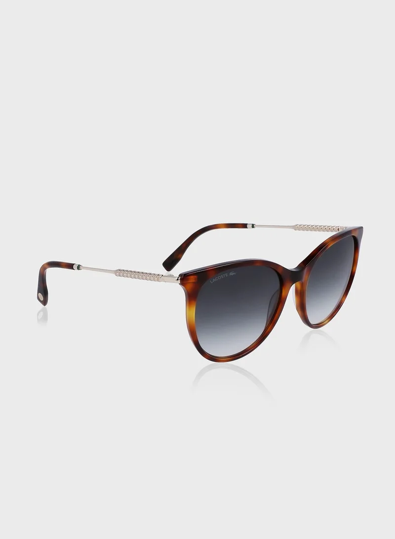LACOSTE Oval Shape Sunglasses
