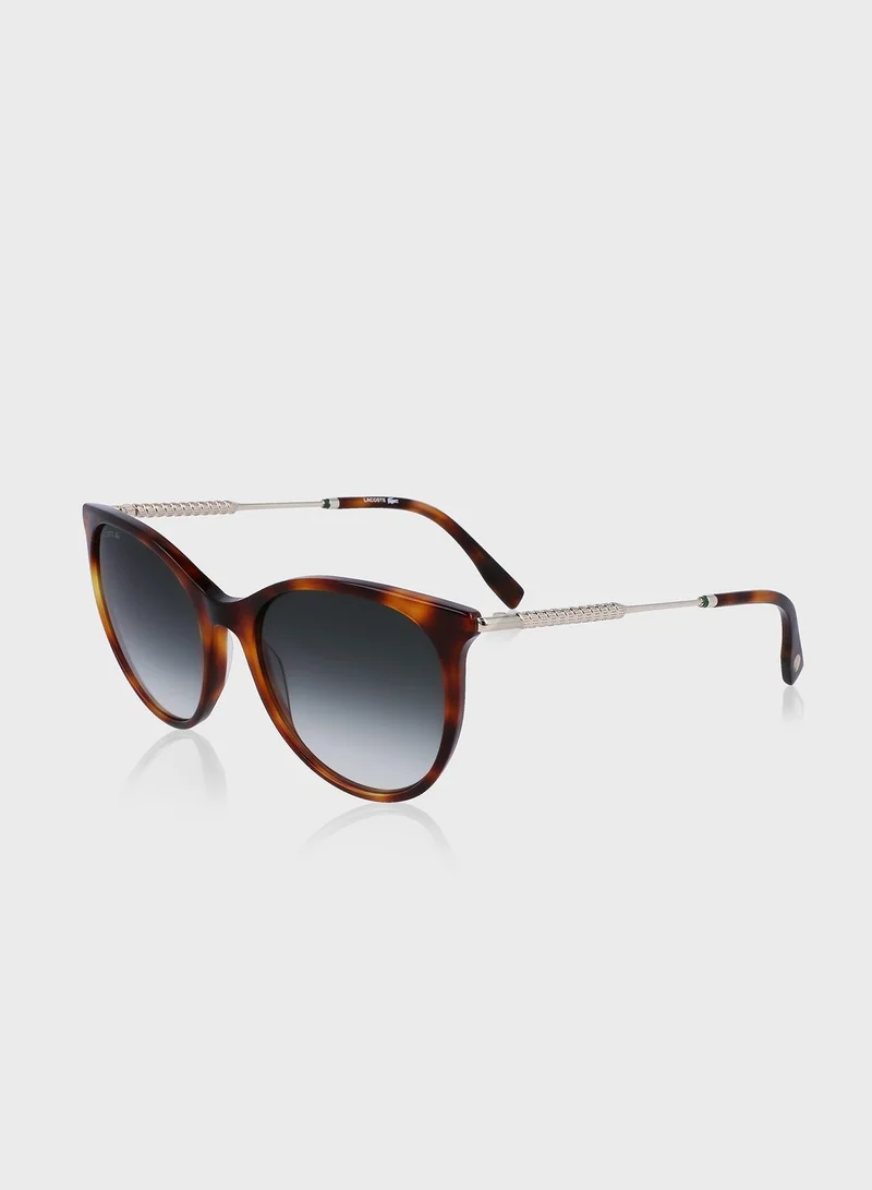 LACOSTE Oval Shape Sunglasses
