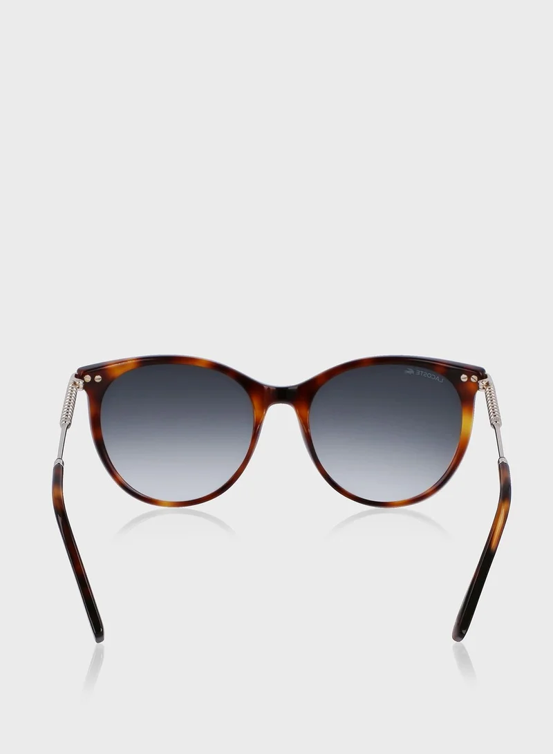 LACOSTE Oval Shape Sunglasses