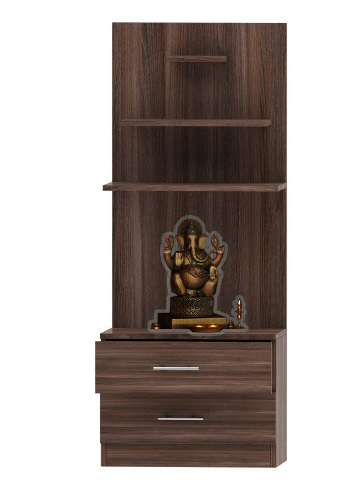 Modern Wooden Mandir, Temple with 2 Drawers for Storage Pooja Essentials and 3 Shelves for God Statue Sturdy Steel Legs Ideal for Home, Office, Temple - Truffle Brown Branson Robinia