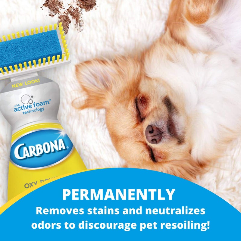 Carbona 2 in 1 Oxy-powered Pet Stain - Image 5