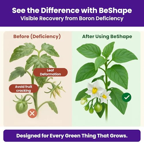 Utkarsh Boron 20% Micronutrient Fertilizer for Plants – 500 gm, Boosts Vegetable, Fruit & Flower Growth | 100% Water Soluble Boron EDTA Chelated Powder for Healthy Garden Plants | BeShape; Pack of 1 - Image 4