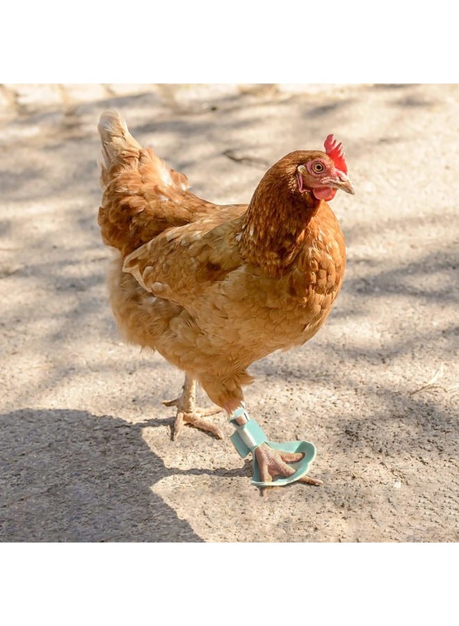 vomvomp 2 Pack Chicken Protective Shoes for Chick Booster Hen Turkey Feet Paws Bumblefoot - Image 1