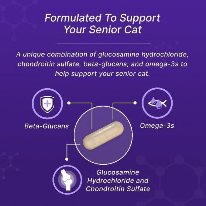 Nutramax Laboratories Nutramax Cosequin for Senior Cats Joint Health Supplement, Contains Glucosamine for Cats, Plus Chondroitin, Supports Joint, Skin and Coat, and Immune Health, Sprinkle Capsules, 60 Count - Image 4