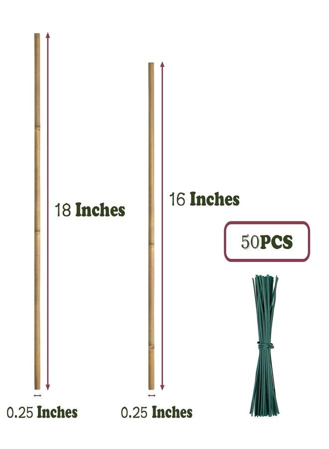 POLIUMB 50PCS Plant Stakes,18Inch Natural Bamboo Stakes，Garden Stakes for Indoor and Outdoor Plants，Poles Sticks for Tomatoes,Beans,Flowers,Trees Potted and Climbing Plants - Image 2