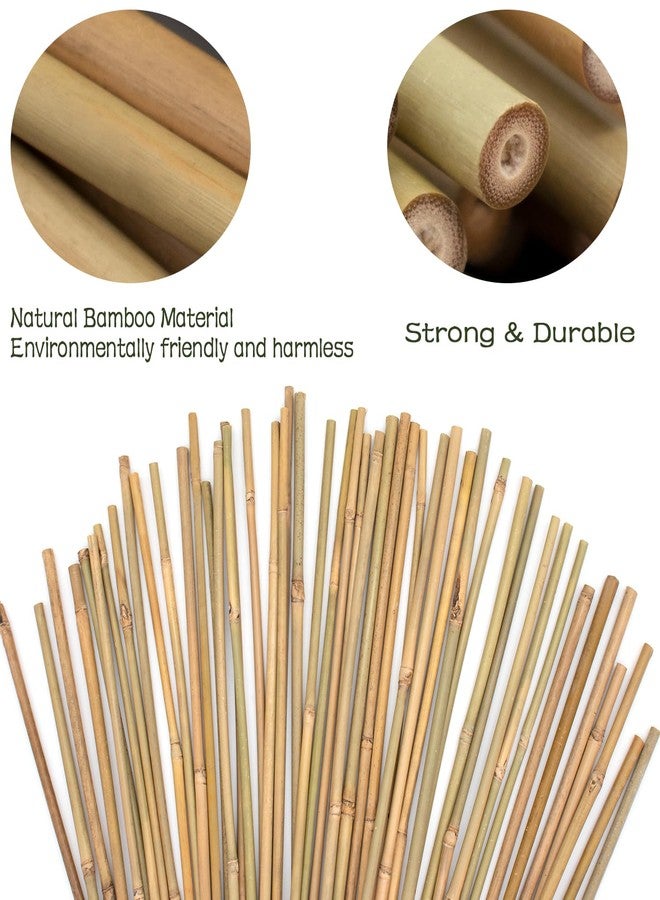 POLIUMB 50PCS Plant Stakes,18Inch Natural Bamboo Stakes，Garden Stakes for Indoor and Outdoor Plants，Poles Sticks for Tomatoes,Beans,Flowers,Trees Potted and Climbing Plants - Image 3