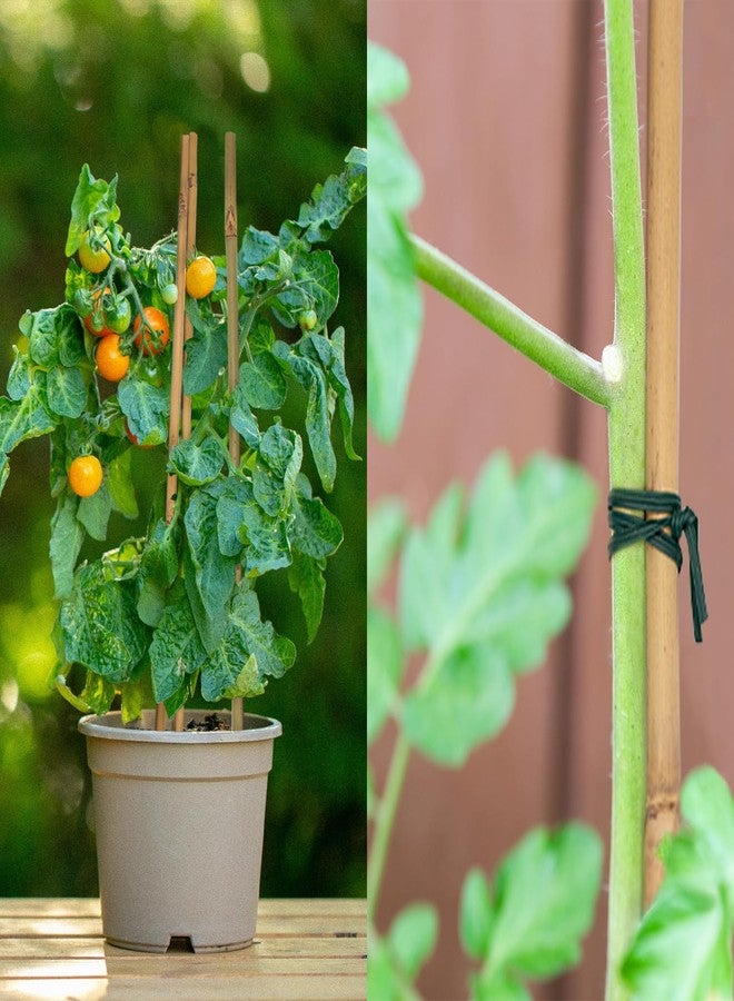 POLIUMB 50PCS Plant Stakes,18Inch Natural Bamboo Stakes，Garden Stakes for Indoor and Outdoor Plants，Poles Sticks for Tomatoes,Beans,Flowers,Trees Potted and Climbing Plants - Image 5