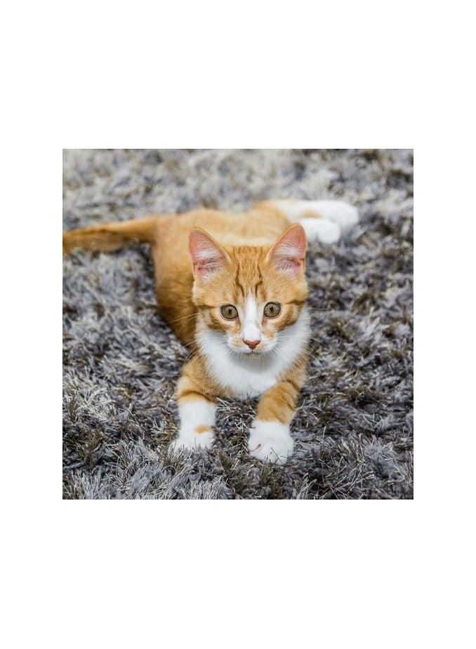 سيمبل سوليوشن مزيل البقع والروائح القوي (للقطط) 500 مل - Image 3