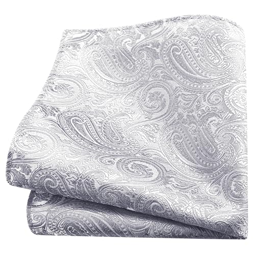 GUSLESON Silver Tie for Men Wedding Silk Paisley Necktie Pocket Square Cufflinks and Lapel Pin Brooch Set (IN6103-39) - Image 3