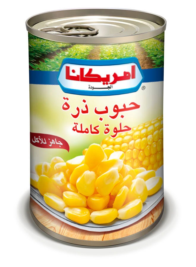 سعر ومواصفات أمريكانا حبوب ذرة حلوة كاملة 330 جرام (Z60C9E4B56969645D7E72Z) على Noon EG